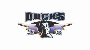 北京队总决赛前两个主场门票明日开售 门票最低180元&amp;最高1980元